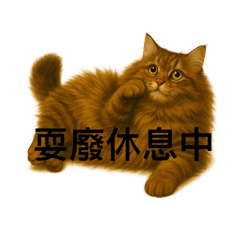 長毛棕色虎斑的生活用語貼圖