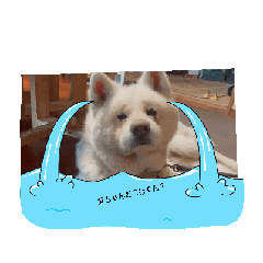 kaoru_20251122161001