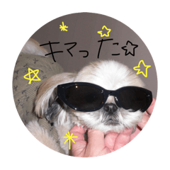 Miitanpon_20251122161350