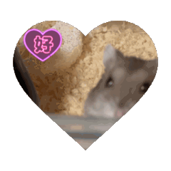 ORANGE_20251122195656