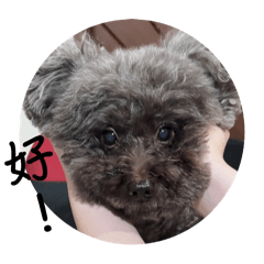 會說話的巧克力（1）