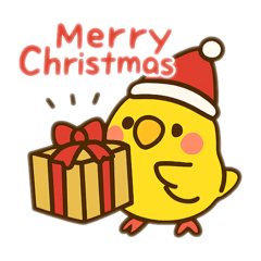 Pikapika_20251122213537