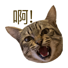 沐沐是我，我是沐沐