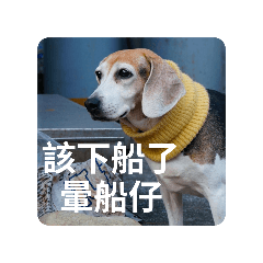 日常用語大全2（繼續發瘋