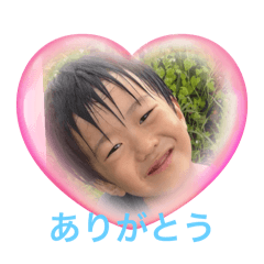 tomato0101_20251122180834