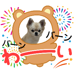 yuina_20251122194923