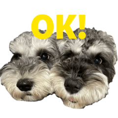 Kaori_20251122195219