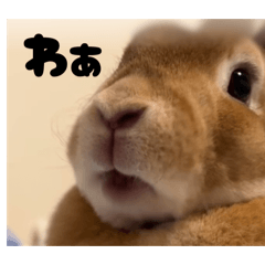 yuria_20251122194918