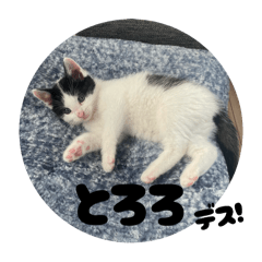 kakashi_20251123000657