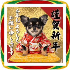 【BIG】2026年チワワ♡謹賀新年！