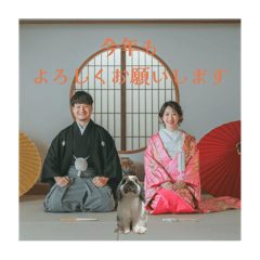 hachi_20251122181821