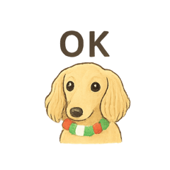 アイ　ラブ　ダックスフンド