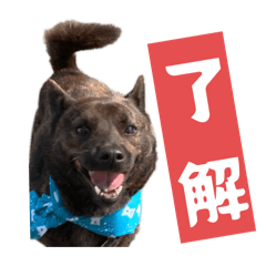 Nakaza_20251122220019