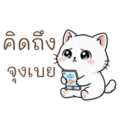 Healing Meow Brightening Your Every Day