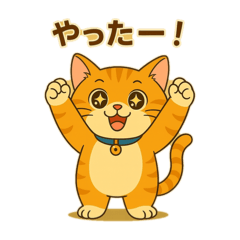 ARUKA_20251123070332