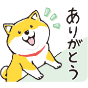 SHIBANBAN×Elevit