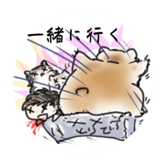 amber_20251122191303