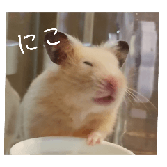 Omochi and Kinaco's everyday life part 2