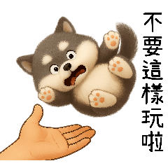 可愛肥灰灰-手心寶貝