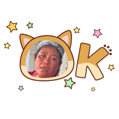 阿雪的日常工作