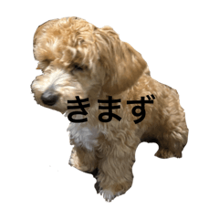 chikuwa_20251123113258