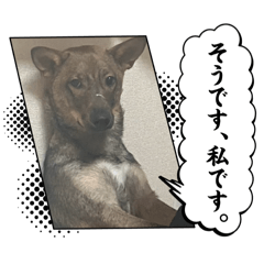 tonton_20251122232426