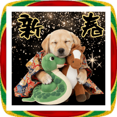 新春2026♡ラブラドール