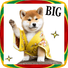 お正月☆柴犬【BIG】