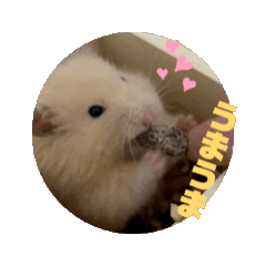 NATSU_20251123112158