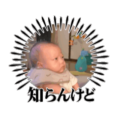 suzu_20251123125438