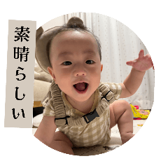 cherry_20251123034852