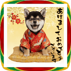 【謹賀新年】2026年の黒柴あけおめスタンプ