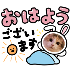 REI_20251123123112