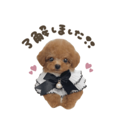 チャチャ助くん☆スタンダード