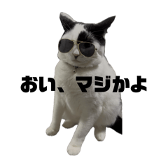 matsu_20251123104816