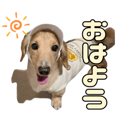 Jessie_20251123135705