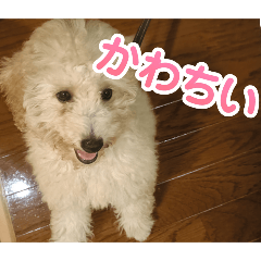 TOMOMI_20251123135802