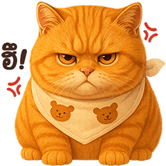 ❤️บูบู้ แมวส้ม ตัวตึง❤️