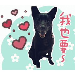 財胖叮默之賣萌日常