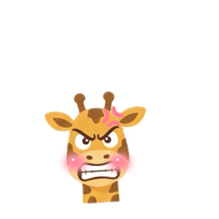 Nikon_20251123070646