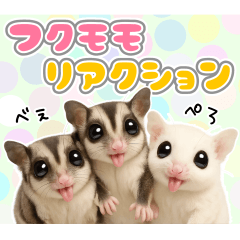 萌えろ！フクモモのリアクションスタンプ