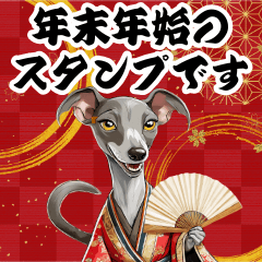 Cute Italian Greyhound BIG New Year's