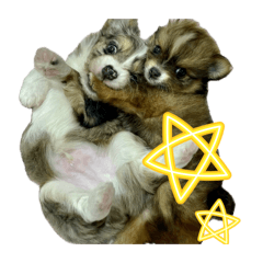 Wakana_20251123132424