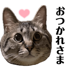 Kaori_20251123160603