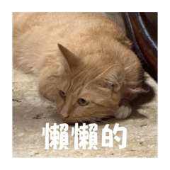 咪咪ㄉ二號表情