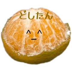 Ringo_20251123143636