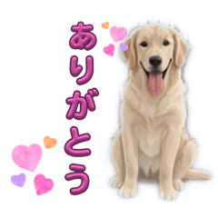 eriko_20251121214451