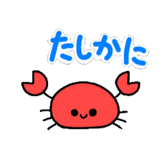 conipeco_20251121221301