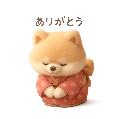 Chill & Cute Pomeranian In a Kimono