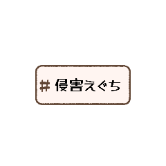 rei_20251123191204